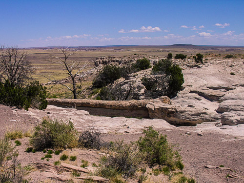 DSCN4280.jpg DSCN4280.jpg