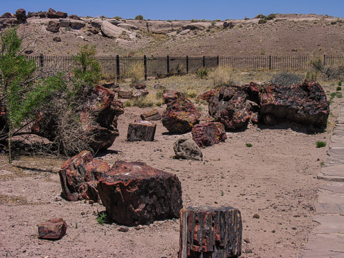 DSCN4287.jpg DSCN4287.jpg