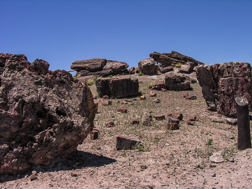 DSCN4288.jpg DSCN4288.jpg