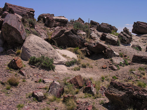 DSCN4291.jpg DSCN4291.jpg