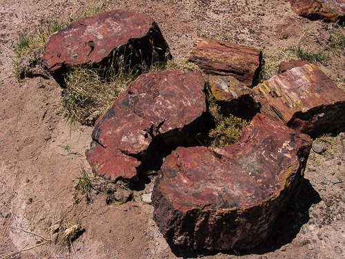 DSCN4294.jpg DSCN4294.jpg