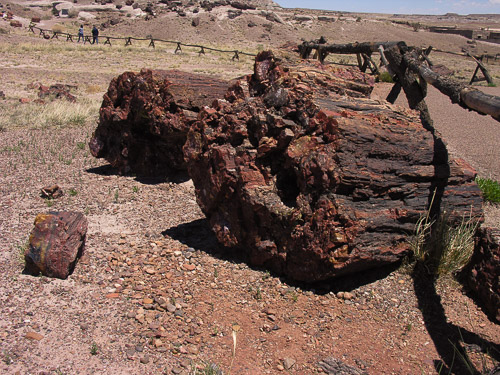 DSCN4297.jpg DSCN4297.jpg