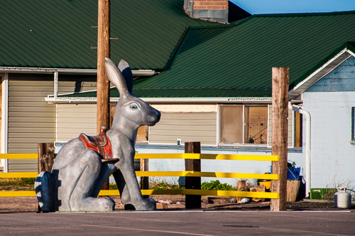 DSC_5011.jpg DSC_5011.jpg