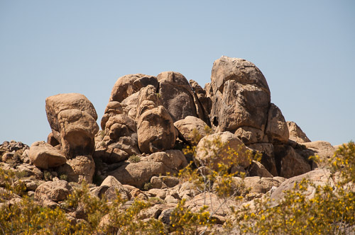 DSC_13972.jpg DSC_13972.jpg