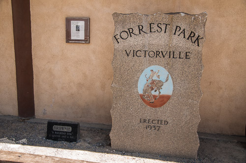 DSC_14094.jpg DSC_14094.jpg