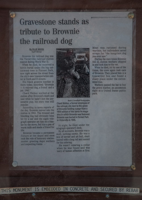 DSC_14096.jpg DSC_14096.jpg