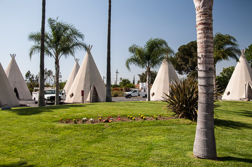 DSC_14111.jpg DSC_14111.jpg