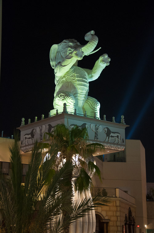DSC_2906.jpg DSC_2906.jpg