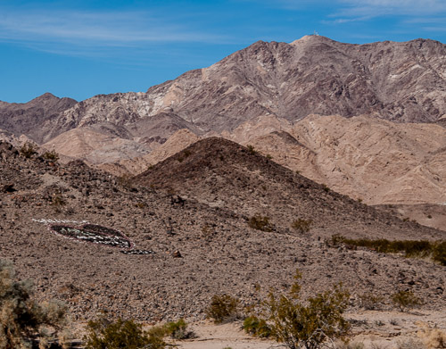 DSC_4214.jpg
