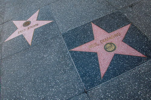 DSC_4426.jpg DSC_4426.jpg