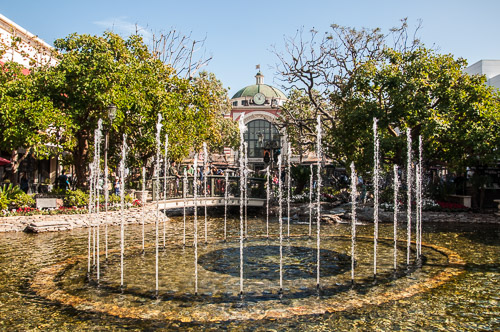 DSC_4483.jpg