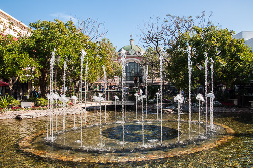 DSC_4484.jpg
