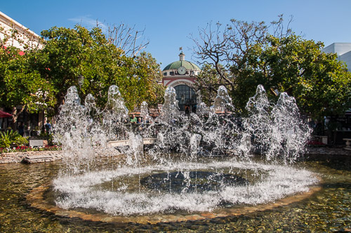 DSC_4485.jpg