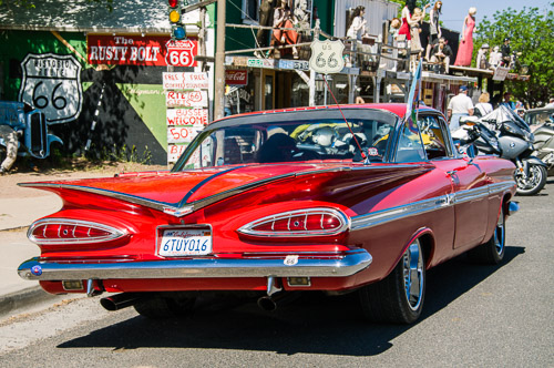 DSC_13572.jpg