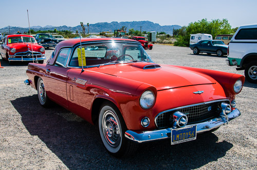 DSC_13845.jpg