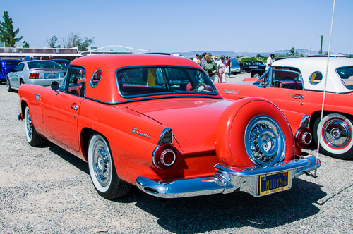 DSC_13846.jpg