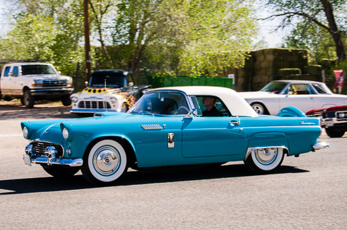 DSC_8593.jpg DSC_8593.jpg