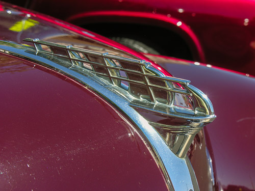 DSCN4511.jpg