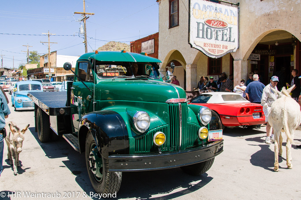 DSC_5037.jpg