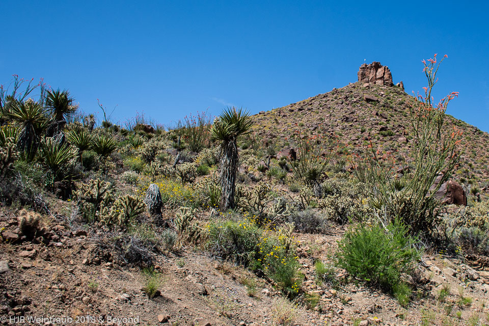 HJRW_20190505_DSC5149.jpg