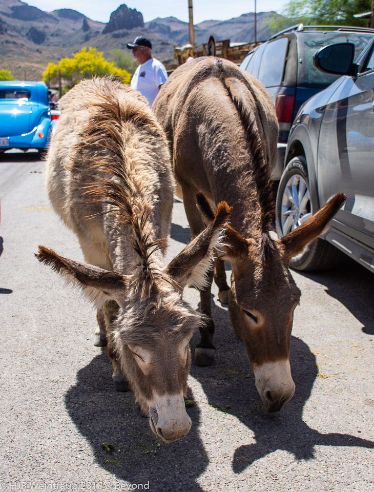 HJRW_20190505_DSC5198.jpg