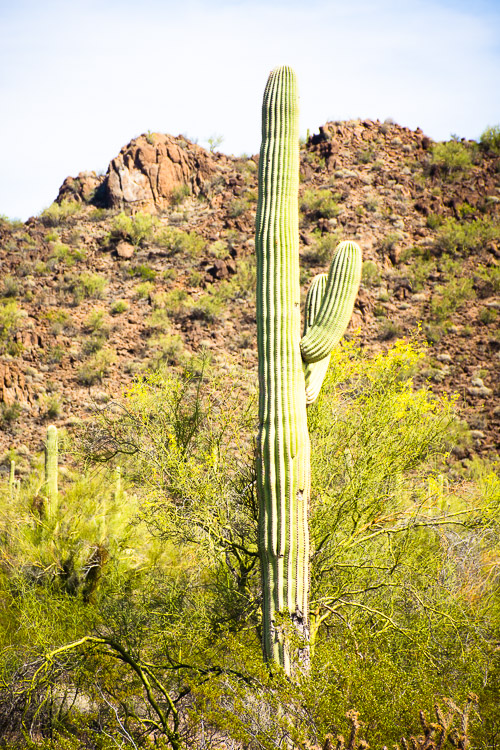 HJRW_20160419_DSC7047.jpg HJRW_20160419_DSC7047.jpg