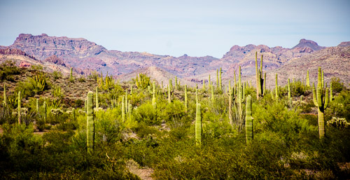 HJRW_20160419_DSC7048.jpg HJRW_20160419_DSC7048.jpg