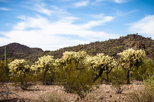 HJRW_20160419_DSC7053.jpg HJRW_20160419_DSC7053.jpg