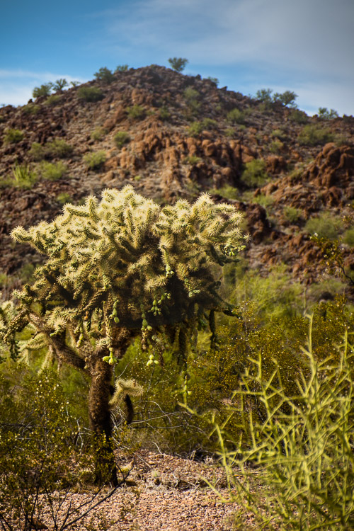 HJRW_20160419_DSC7054.jpg HJRW_20160419_DSC7054.jpg