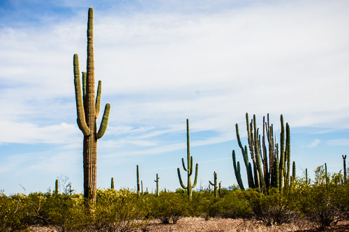 HJRW_20160419_DSC7056.jpg HJRW_20160419_DSC7056.jpg