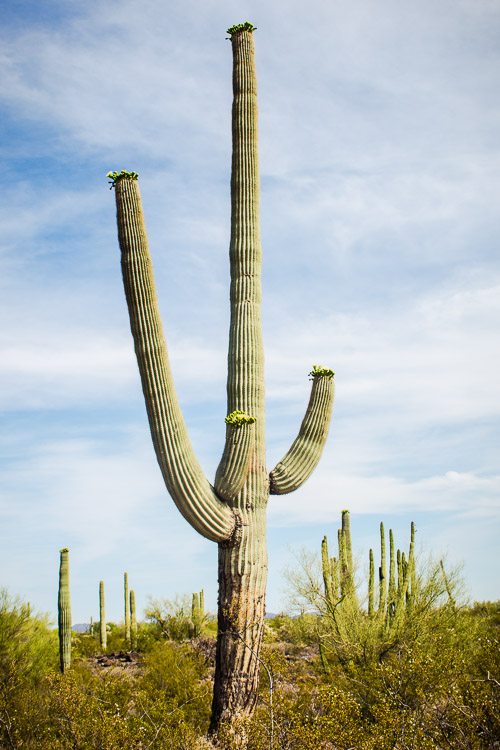 HJRW_20160419_DSC7057.jpg HJRW_20160419_DSC7057.jpg