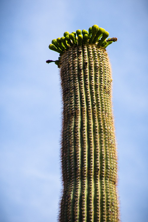 HJRW_20160419_DSC7058.jpg HJRW_20160419_DSC7058.jpg