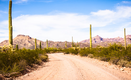 HJRW_20160419_DSC7062.jpg HJRW_20160419_DSC7062.jpg