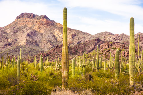 HJRW_20160419_DSC7070.jpg HJRW_20160419_DSC7070.jpg