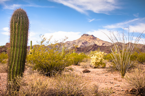 HJRW_20160419_DSC7071.jpg HJRW_20160419_DSC7071.jpg