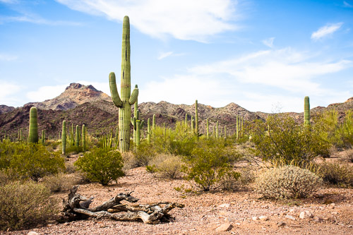 HJRW_20160419_DSC7077.jpg HJRW_20160419_DSC7077.jpg