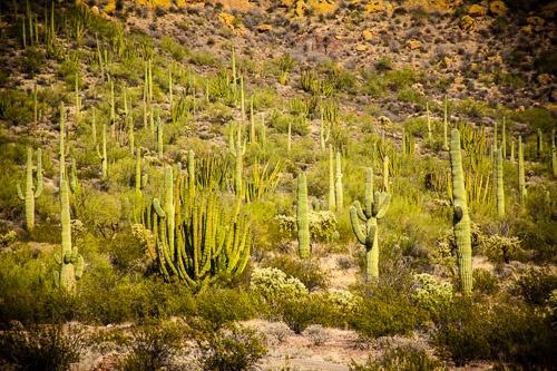 HJRW_20160419_DSC7092.jpg HJRW_20160419_DSC7092.jpg