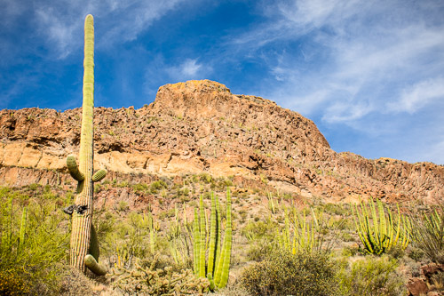 HJRW_20160419_DSC7098.jpg HJRW_20160419_DSC7098.jpg