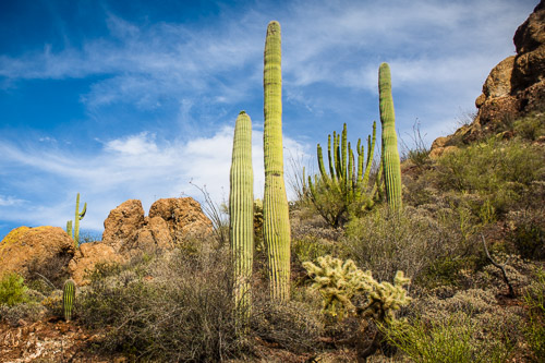 HJRW_20160419_DSC7100.jpg HJRW_20160419_DSC7100.jpg