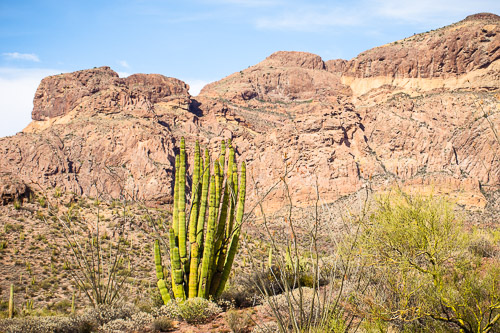 HJRW_20160419_DSC7103.jpg HJRW_20160419_DSC7103.jpg