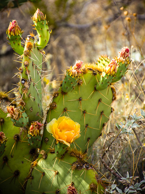 HJRW_20160419_DSC7111.jpg HJRW_20160419_DSC7111.jpg