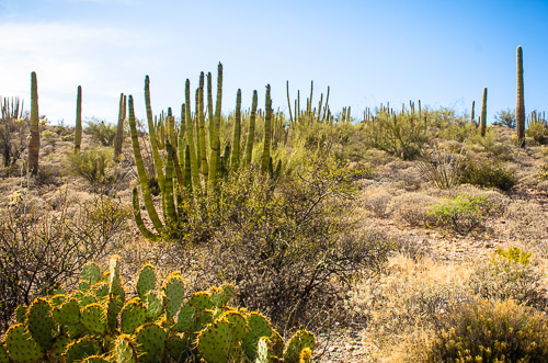 HJRW_20160419_DSC7117.jpg HJRW_20160419_DSC7117.jpg