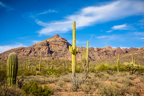 HJRW_20160419_DSC7119.jpg HJRW_20160419_DSC7119.jpg