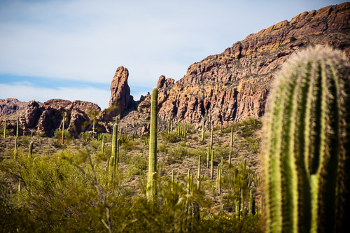 HJRW_20160419_DSC7122.jpg HJRW_20160419_DSC7122.jpg