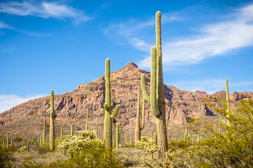 HJRW_20160419_DSC7124.jpg HJRW_20160419_DSC7124.jpg