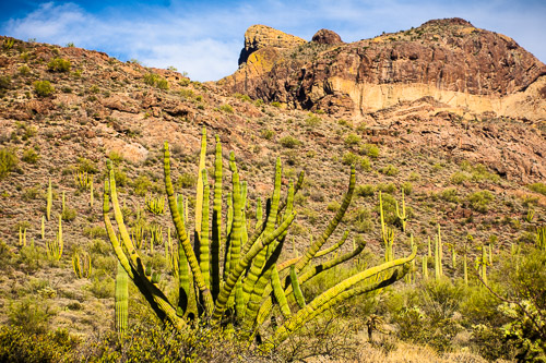 HJRW_20160419_DSC7125.jpg HJRW_20160419_DSC7125.jpg