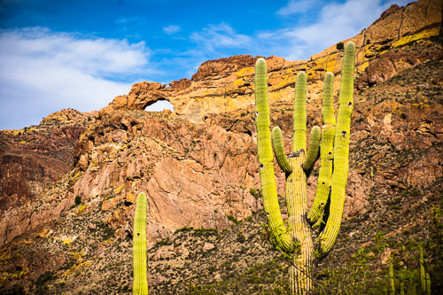 HJRW_20160419_DSC7126.jpg HJRW_20160419_DSC7126.jpg