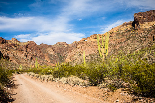 HJRW_20160419_DSC7129.jpg HJRW_20160419_DSC7129.jpg