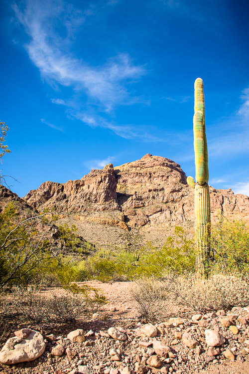 HJRW_20160419_DSC7137.jpg HJRW_20160419_DSC7137.jpg