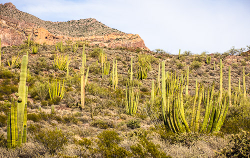 HJRW_20160419_DSC7156.jpg HJRW_20160419_DSC7156.jpg